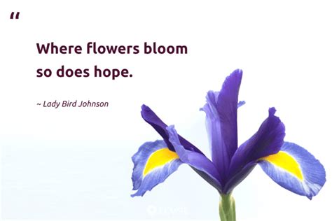 49 Bloom Quotes and Sayings Revealing Inner Beauty