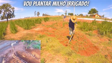 Ajeitando A Terra Para Plantar Milho Gotejamento E Batata Doce