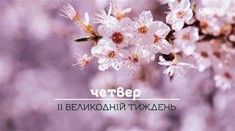 Впевненість - YouTube