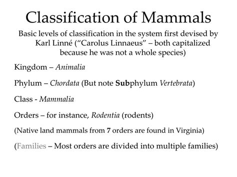 Mammal Classification Chart