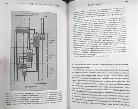 Книга: Я. Мозг и возникновение сознания - Антонио Дамасио. Купить книгу ...