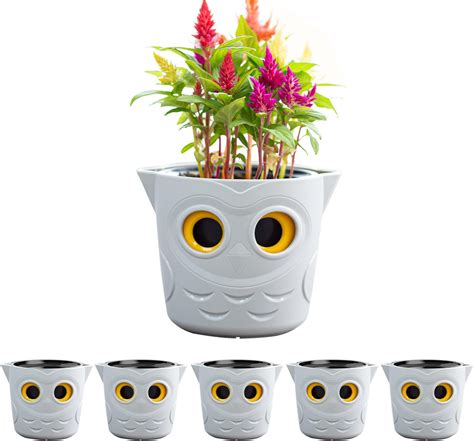 Restmo Pack Cute Owl Plant Pots Cm Self Watering Planters For