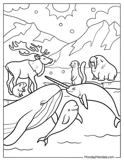 arctic animal list 7
