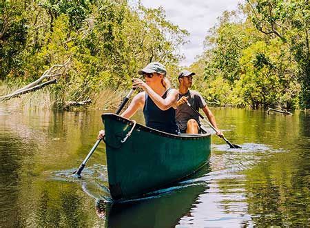 Tours Habitat Noosa Camping Tours Everglades Day Tours