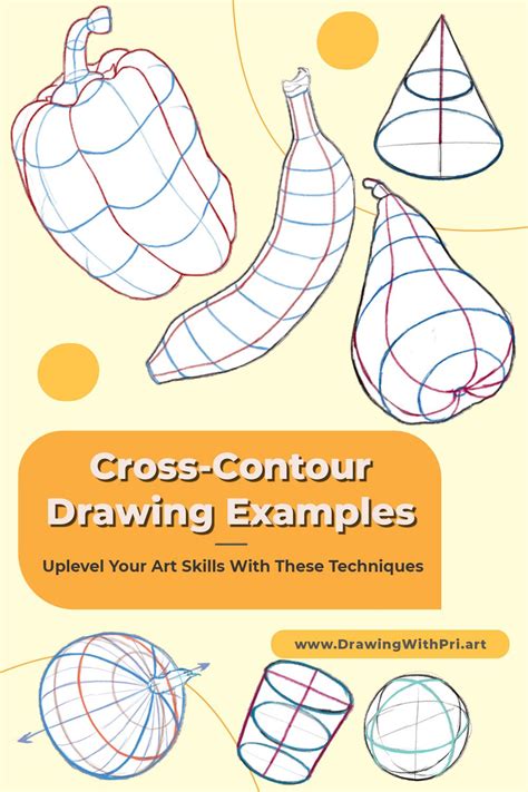 Contour Line Drawing Artofit