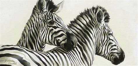 Animal Artwork - Belinda Marshall Art