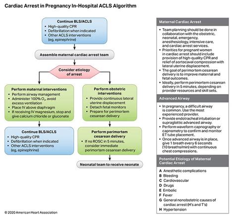 American Heart Association Advanced Cardiovascular Life Support