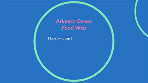 Atlantic Ocean Food Web by Trinity Barron