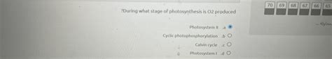 Solved During What Stage Of Photosynthesis Is O2 Chegg