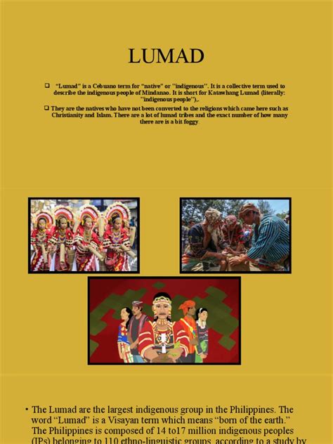 Lumad Philippines Indigenous Report | PDF | Ethnic Groups | Mindanao