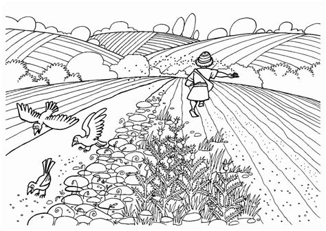 Раскраска поле - 70 фото