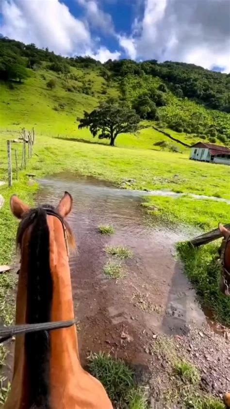 Pin de Cida Prado em Pins criados por você Paisagem rural Lindas