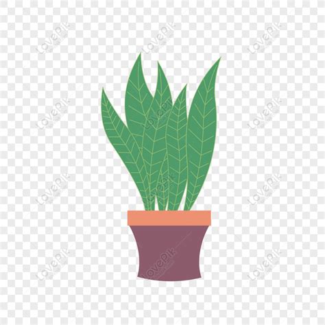 Free Small Fresh Plant Potted Illustration Flat Cartoon Creative Can