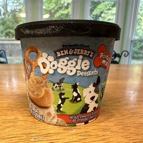 371 Ben And Jerrys Pet Ice Cream For Humans — Risky Or Not