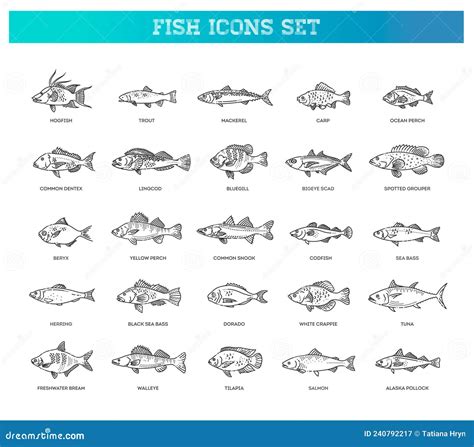 Vector Set Of Fish Types Marine Ocean Fish And Freshwater Fish Stock