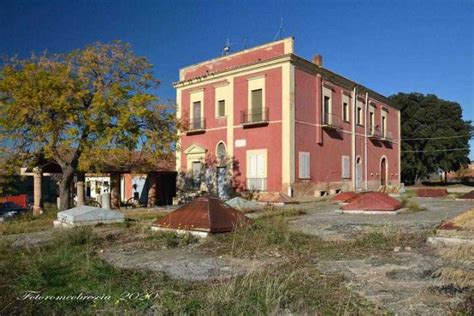 Nannarone Cavalli Di Razza Foggiaracconta