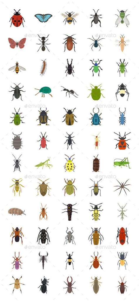 Insects Vector Icons Vector Icons Vector Icon Design