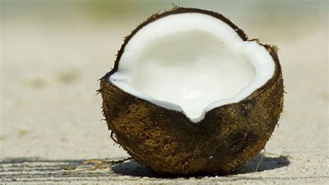 Coconut Sources Health Benefits Nutrients Uses And Constituents At