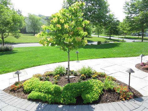 10 Best Ornamental Trees for Southeastern PA Gardens - Turpin Landscaping