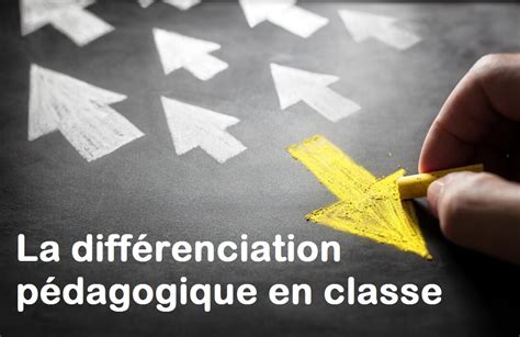 La Pédagogie Différenciée Exemples Et Stratégies Prof Innovant