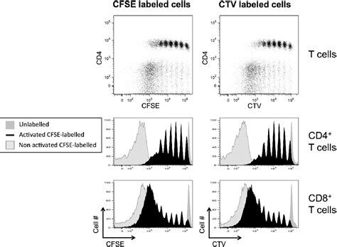 Figure From The Use Of Cfse Like Dyes For Measuring Lymphocyte