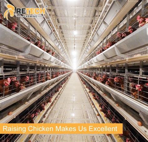 Automatic A Type Battery Layer Chicken Cage Poultry Farm Layer Cages In