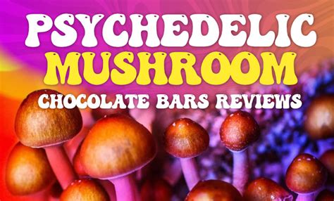 Magic Mushrooms Mushroom Chocolate Guide Where S Shrooms