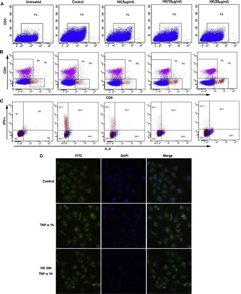 Flow Cytometry And Immunofluorescence Analysis Effects Of HK On The