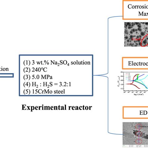 Graphical representation for this paper. | Download Scientific Diagram 