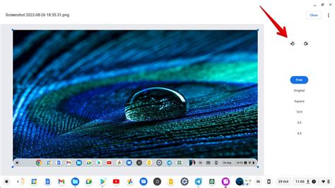 How to Edit a Picture or Screenshot on Chromebook - TechWiser