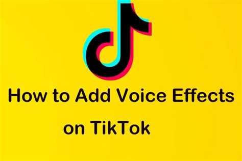 The Explanation Of 10 Best Tiktok Filters To Boost Your Videos