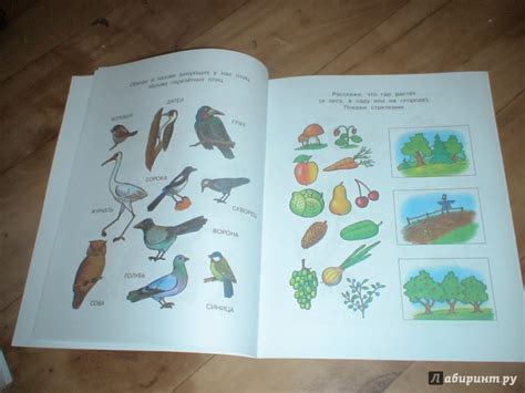 Книга: Что нас окружает. Познаем мир. 5-6 лет - Ольга Земцова. Купить ...