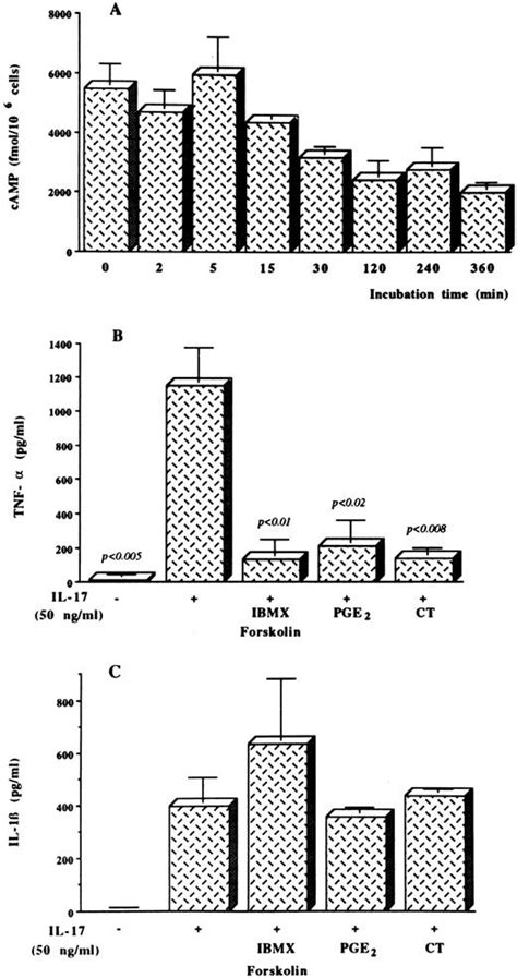 Il 17 Stimulates The Production And Expression Of Proinflammatory