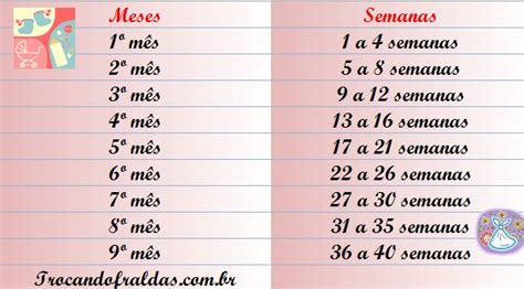 Como Converter As Semanas De Gravidez Em Meses Famivita