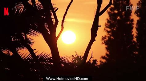 Free Hairy Aunty Porn Videos XHamster