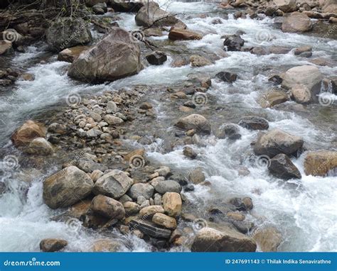 The Mahaweli River that Flows from the Mountains Stock Image - Image of ...