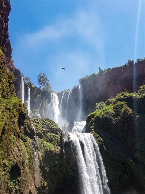 Yes, Ouzoud Waterfalls are worth checking out on a day trip from Marrakesh! - Rusty Travel Trunk