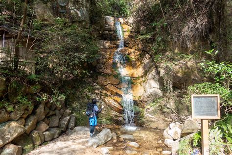 【兵庫】六甲山 王道コース ～ 芦屋川から有馬温泉、神戸の街と瀬戸内海を見下ろす旅 My Roadshow 登山ブログ