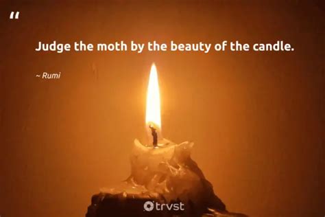 20 Fascinating Moth Quotes about the Nocturnal Insects