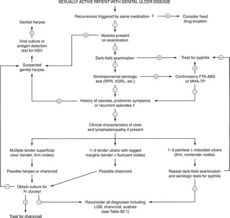 Genital ulcer adenopathy syndrome | Oncohema Key