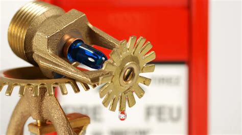 The Importance Of Having A Well Maintained Fire Sprinkler Edison Fire