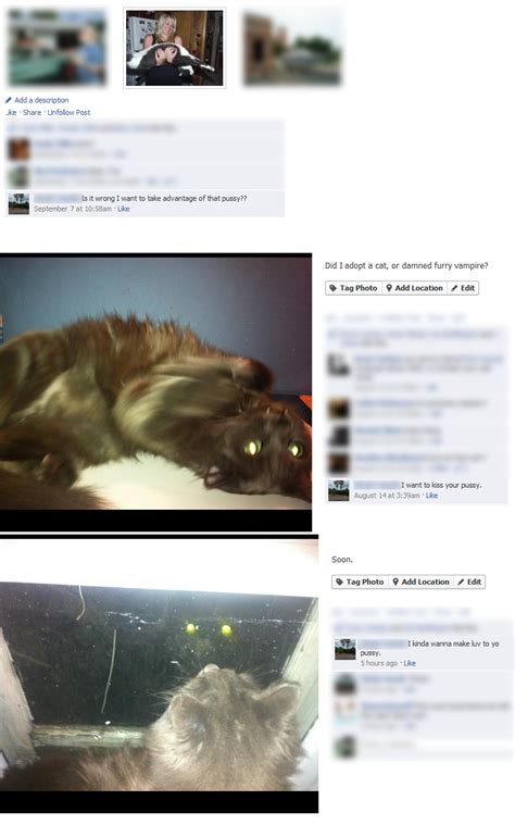 Quit Harrassing My Pussy Img Six Something Org