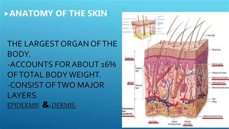 wound care management