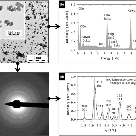 Tem Analysis Of The Synthesized Bt A Bright Field Tem Image Tem Bf