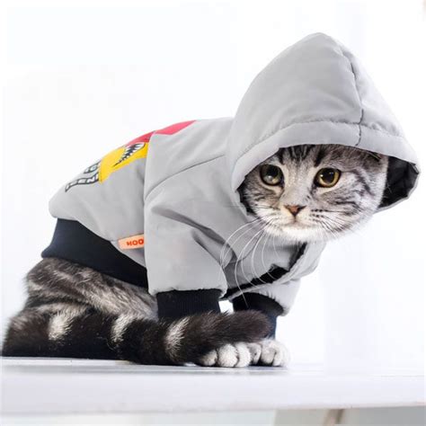 Hoodie For Cats - ApolloBox