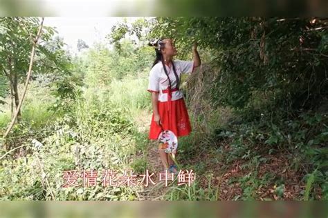 云南山歌《郎情妹意在一堆》