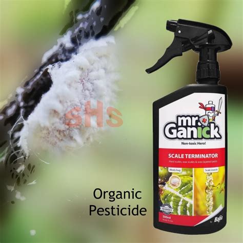 Baba Mr Ganick Scale Terminator Organic Pesticide For Mealy Bugs