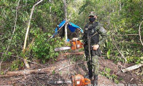 Batalhão Ambiental apreende armas munições e descobre extração ilegal