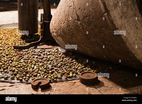 Macina In Pietra Per Frantoio Immagini E Fotografie Stock Ad Alta