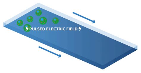 Pulsed Electric Field Treatment Environ